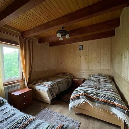 Джинджура Ворохта Экстерьер фото